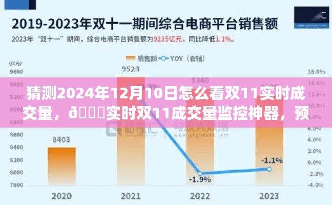 双11实时成交量监控神器，预见未来，掌握购物狂欢脉搏