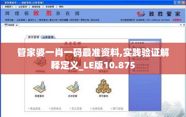 管家婆一肖一码最准资料,实践验证解释定义_LE版10.875