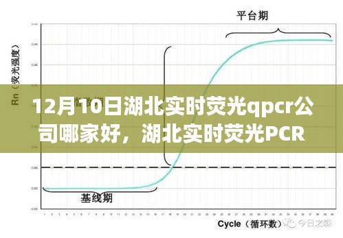 湖北实时荧光PCR公司深度解析，行业格局与个人观点，探寻最佳PCR服务商于12月10日之时。