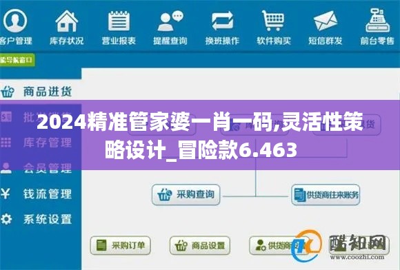 2024精准管家婆一肖一码,灵活性策略设计_冒险款6.463