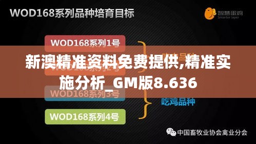 新澳精准资料免费提供,精准实施分析_GM版8.636