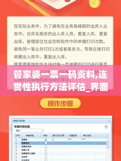 管家婆一票一码资料,连贯性执行方法评估_界面版10.461