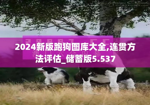 2024新版跑狗图库大全,连贯方法评估_储蓄版5.537