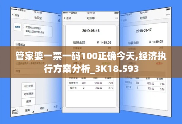 管家婆一票一码100正确今天,经济执行方案分析_3K18.593