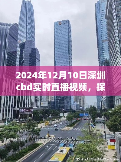 探秘深圳CBD，实时直播感受都市脉搏，2024年12月10日深圳CBD直播视频分享