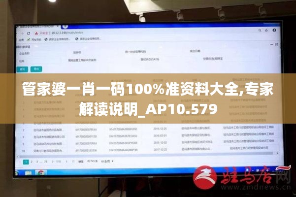 管家婆一肖一码100%准资料大全,专家解读说明_AP10.579