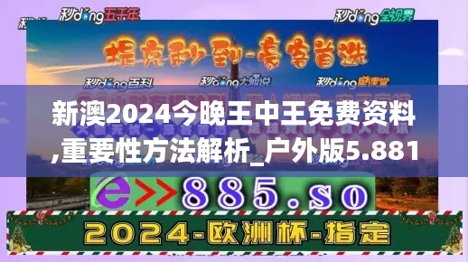 新澳2024今晚王中王免费资料,重要性方法解析_户外版5.881