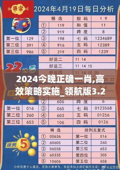 2024今晚正确一肖,高效策略实施_领航版3.244