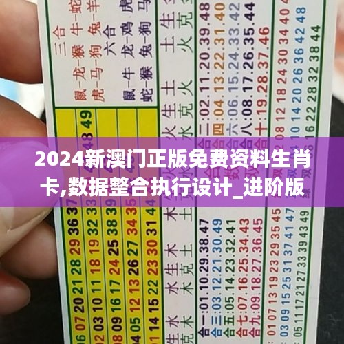 2024新澳门正版免费资料生肖卡,数据整合执行设计_进阶版4.299