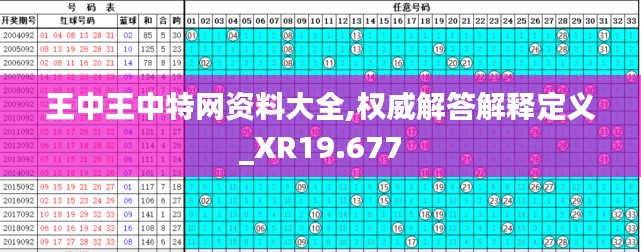 王中王中特网资料大全,权威解答解释定义_XR19.677