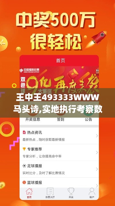 王中王493333WWW马头诗,实地执行考察数据_挑战版2.356