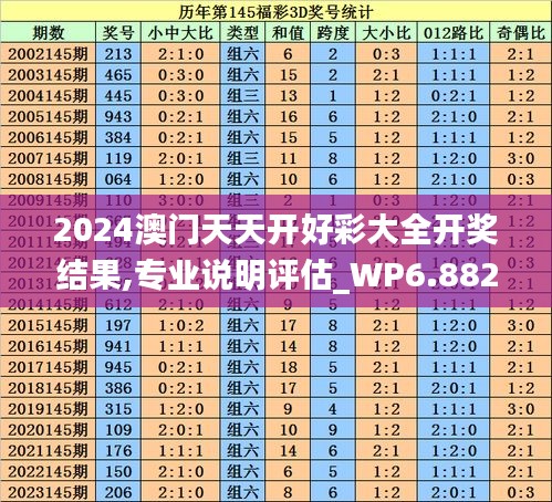 2024澳门天天开好彩大全开奖结果,专业说明评估_WP6.882