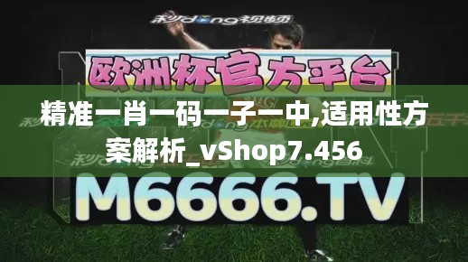 精准一肖一码一子一中,适用性方案解析_vShop7.456