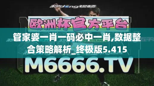 管家婆一肖一码必中一肖,数据整合策略解析_终极版5.415