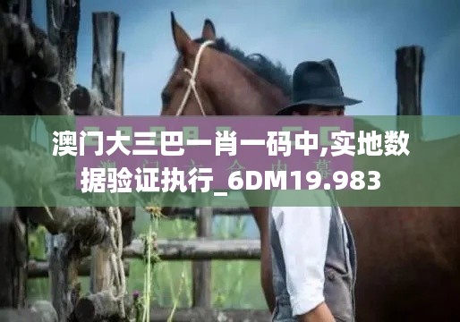 澳门大三巴一肖一码中,实地数据验证执行_6DM19.983