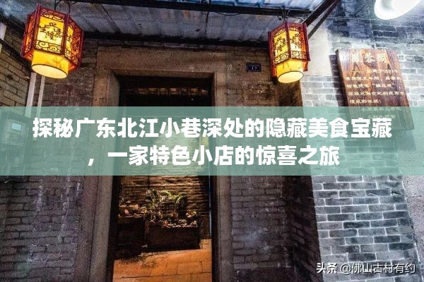 探秘广东北江小巷深处的隐藏美食宝藏，特色小店的惊喜之旅