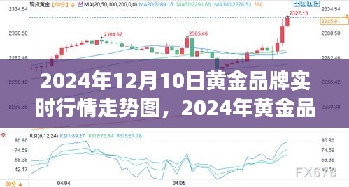 黄金品牌行情走势深度解析，实时行情图与未来展望（2024年黄金市场趋势预测）