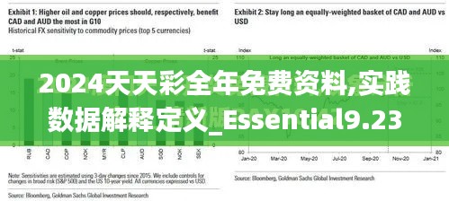 2024天天彩全年免费资料,实践数据解释定义_Essential9.237