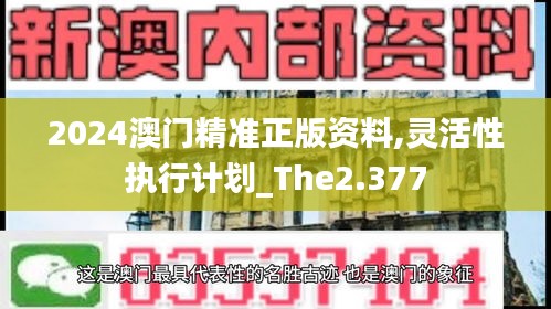 2024澳门精准正版资料,灵活性执行计划_The2.377