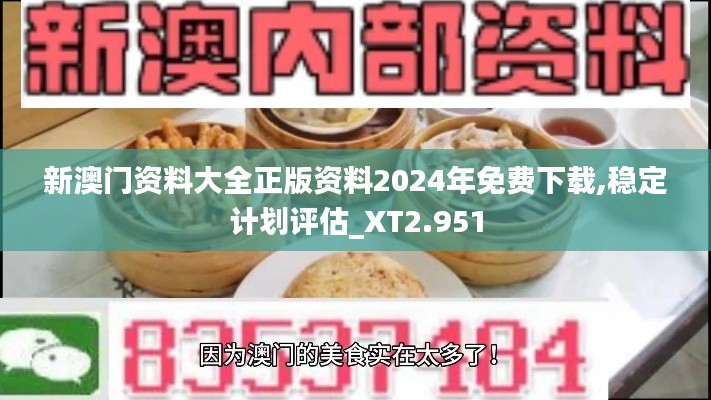 新澳门资料大全正版资料2024年免费下载,稳定计划评估_XT2.951