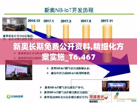 新奥长期免费公开资料,精细化方案实施_T6.467