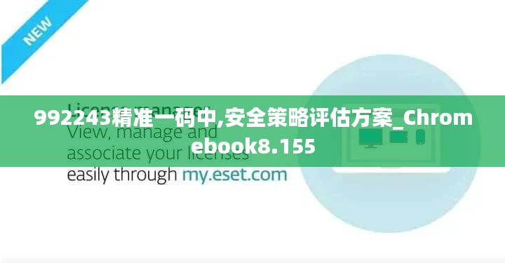 992243精准一码中,安全策略评估方案_Chromebook8.155