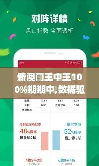 新澳门王中王100%期期中,数据驱动分析解析_复古版10.958