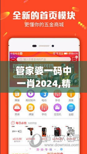 管家婆一码中一肖2024,精细评估解析_扩展版6.183