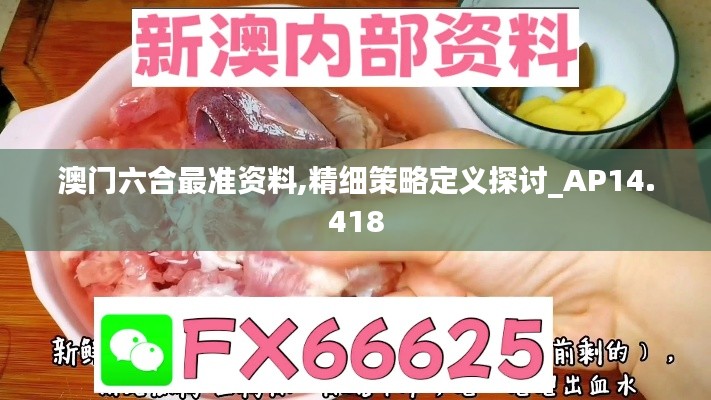 澳门六合最准资料,精细策略定义探讨_AP14.418