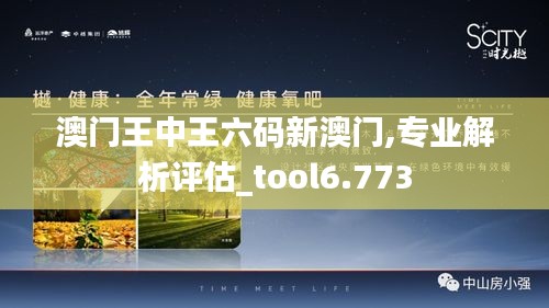 澳门王中王六码新澳门,专业解析评估_tool6.773