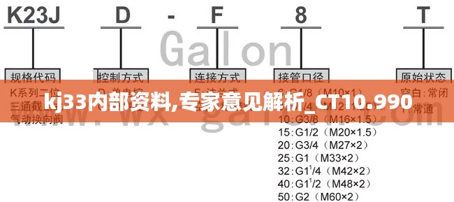 kj33内部资料,专家意见解析_CT10.990