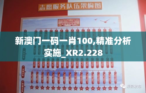 新澳门一码一肖100,精准分析实施_XR2.228