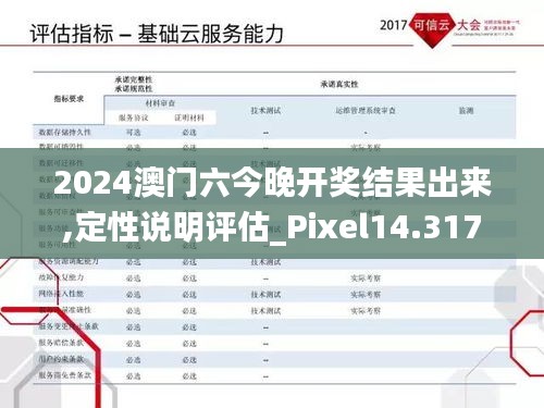 2024澳门六今晚开奖结果出来,定性说明评估_Pixel14.317