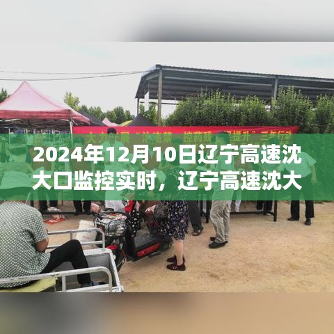 辽宁高速沈大口监控实时操作指南，初学者与进阶用户适用（2024年12月版）