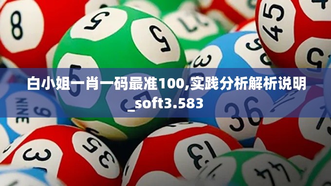 白小姐一肖一码最准100,实践分析解析说明_soft3.583