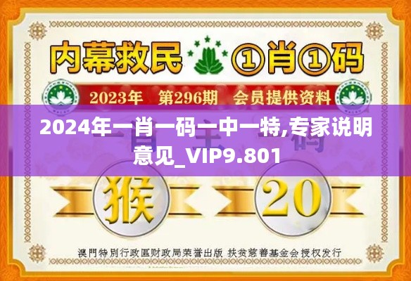 2024年一肖一码一中一特,专家说明意见_VIP9.801