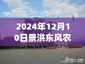 景洪东风农场实时天气与心灵探寻之旅，自然宁静胜地体验记