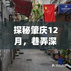 肇庆深度游，巷弄公交奇遇与隐藏小店的冬季探秘