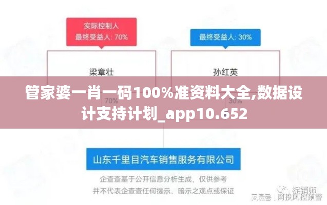 管家婆一肖一码100%准资料大全,数据设计支持计划_app10.652