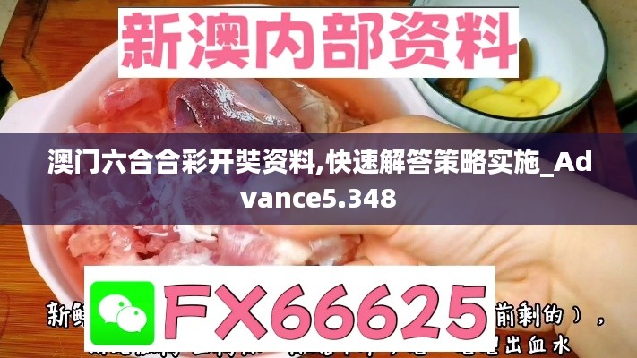 澳门六合合彩开奘资料,快速解答策略实施_Advance5.348