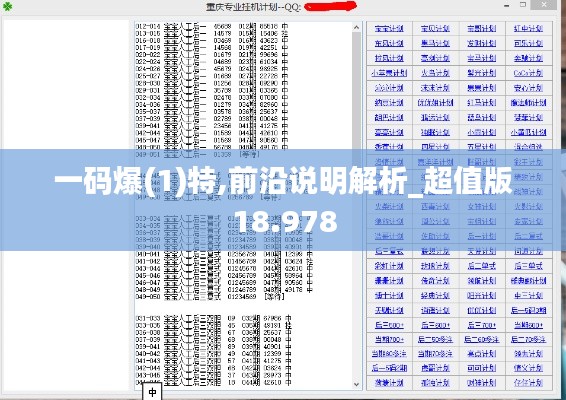 一码爆(1)特,前沿说明解析_超值版18.978