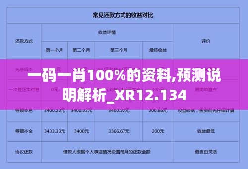 一码一肖100%的资料,预测说明解析_XR12.134