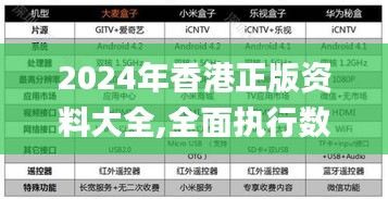 2024年香港正版资料大全,全面执行数据计划_7DM13.706