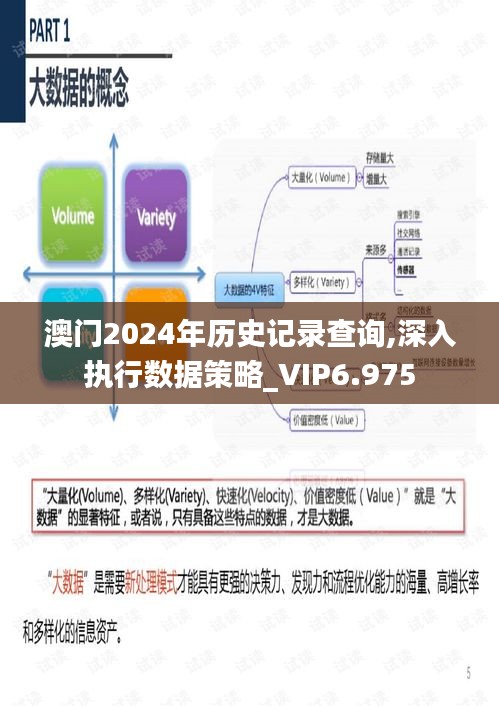 澳门2024年历史记录查询,深入执行数据策略_VIP6.975