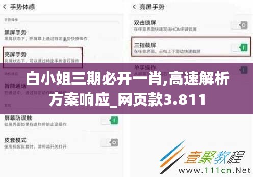 白小姐三期必开一肖,高速解析方案响应_网页款3.811