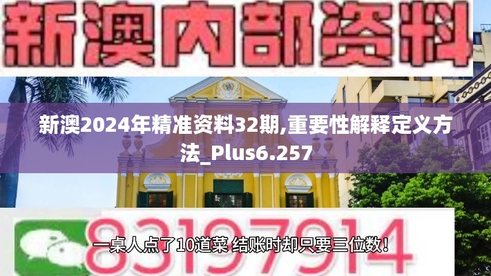 新澳2024年精准资料32期,重要性解释定义方法_Plus6.257