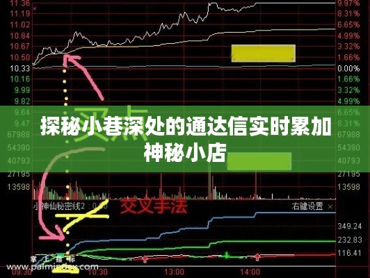 探秘小巷深处的通达信实时累加神秘小店，揭示隐藏在日常中的金融奥秘