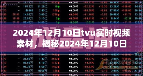 揭秘科技前沿，TVU实时视频素材展现视听盛宴（2024年12月10日）