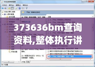 373636bm查询资料,整体执行讲解_DX版17.227
