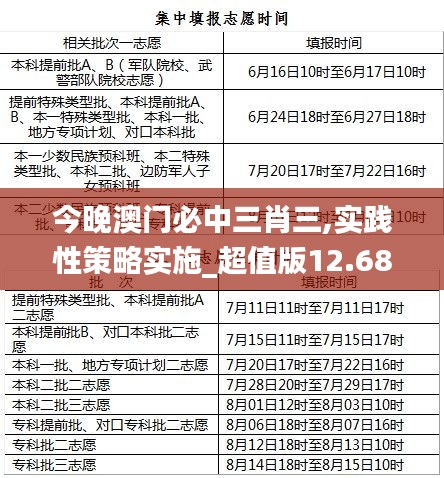 今晚澳门必中三肖三,实践性策略实施_超值版12.681